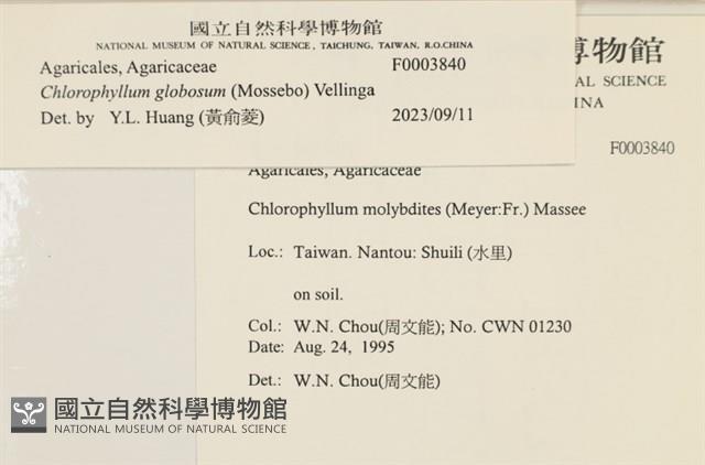 登錄號:F0003840藏品圖，第4張
