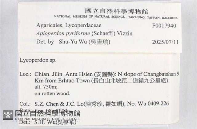 登錄號:F0017940藏品圖，第2張