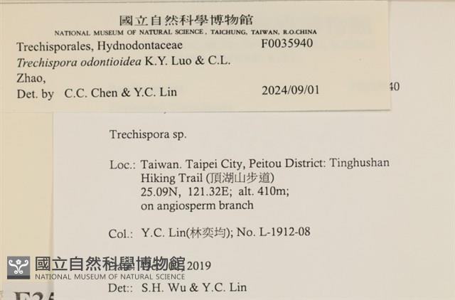 登錄號:F0035940藏品圖，第2張