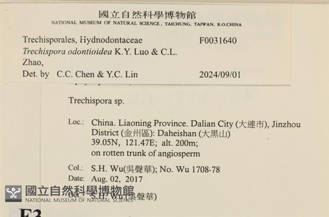 登錄號:F0031640藏品圖，第3張