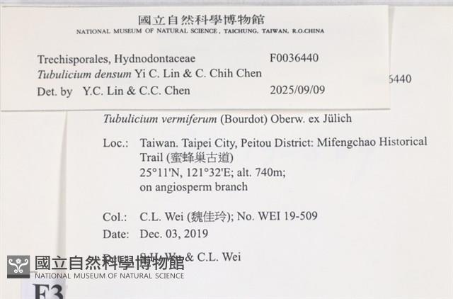 登錄號:F0036440藏品圖，第2張