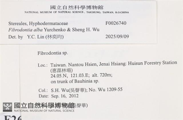 登錄號:F0026740藏品圖，第3張