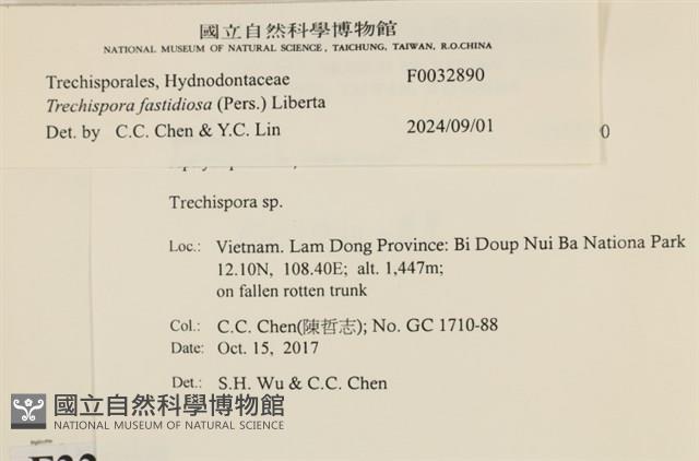 登錄號:F0032890藏品圖，第3張