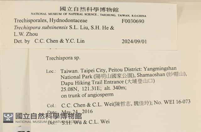 登錄號:F0030690藏品圖，第3張