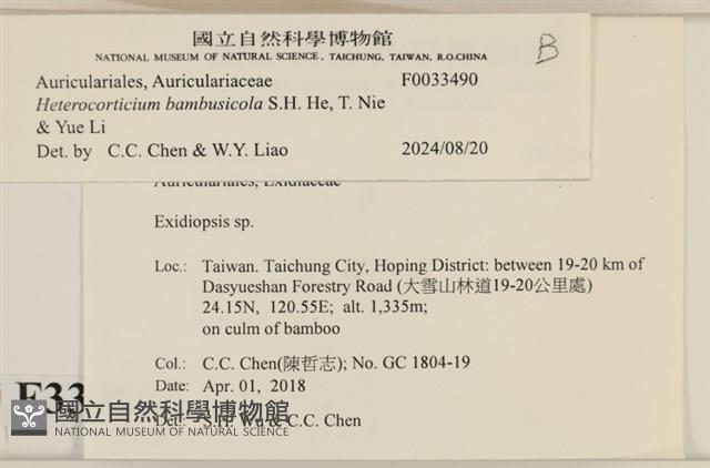 登錄號:F0033490藏品圖，第3張