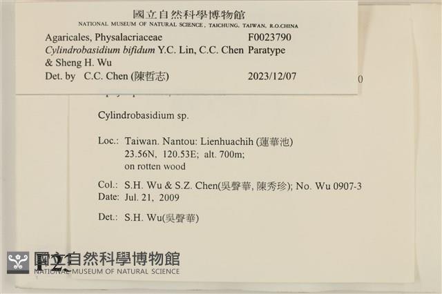 登錄號:F0023790藏品圖，第3張