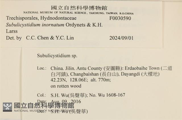 登錄號:F0030590藏品圖，第3張