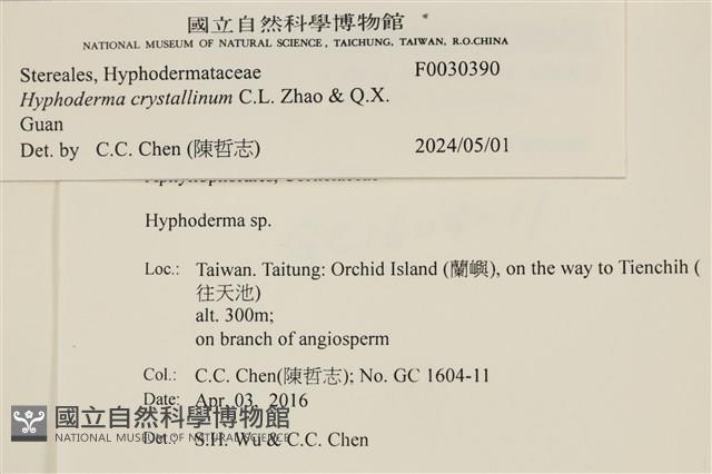 登錄號:F0030390藏品圖，第3張
