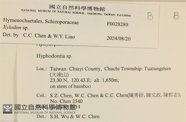 登錄號:F0028280藏品圖，第3張