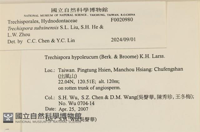 登錄號:F0020980藏品圖，第3張