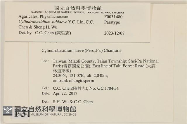 登錄號:F0031480藏品圖，第3張