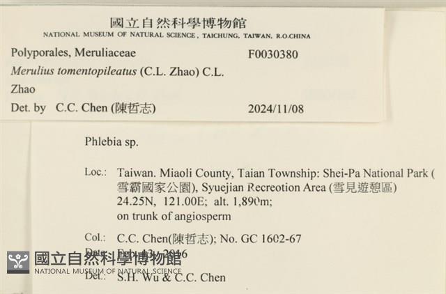登錄號:F0030380藏品圖，第3張