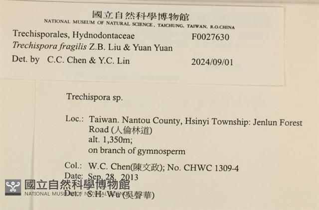 登錄號:F0027630藏品圖，第3張