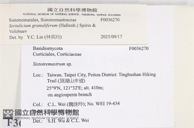 登錄號:F0036270藏品圖，第2張