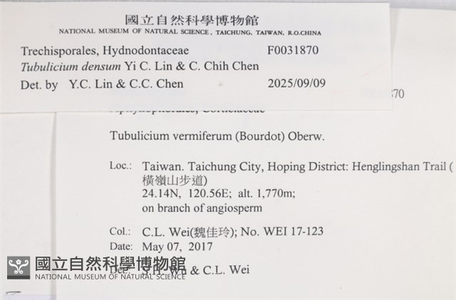 登錄號:F0031870藏品圖，第3張