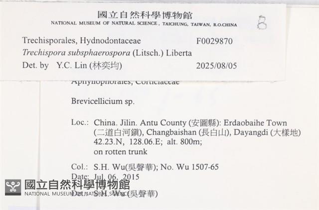 登錄號:F0029870藏品圖，第3張