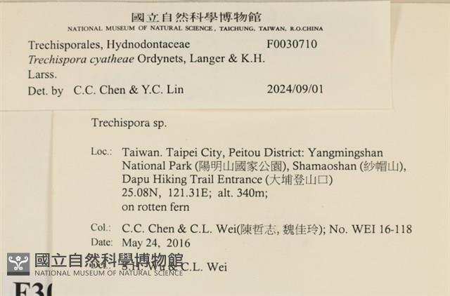 登錄號:F0030170藏品圖，第4張
