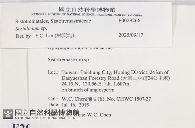 登錄號:F0029266藏品圖，第3張