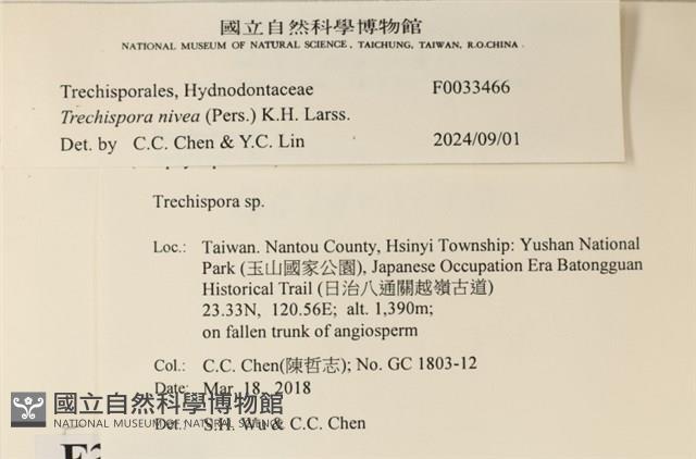 登錄號:F0033466藏品圖，第3張
