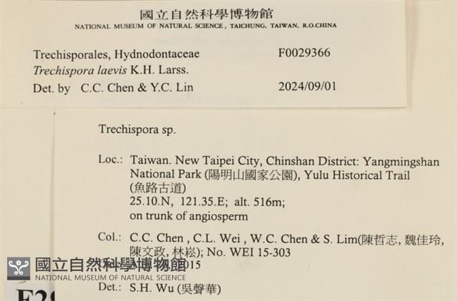 登錄號:F0029366藏品圖，第3張