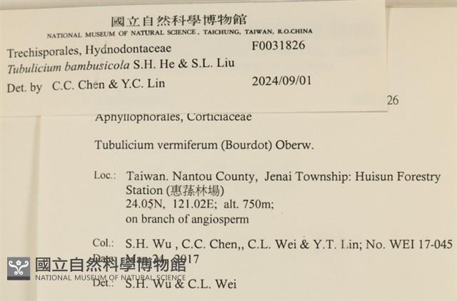 登錄號:F0031826藏品圖，第3張