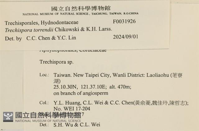 登錄號:F0031926藏品圖，第3張