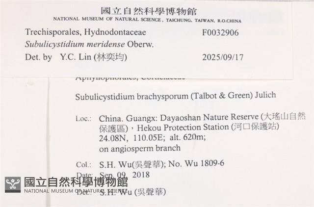 登錄號:F0032906藏品圖，第3張