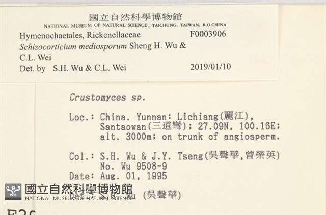 登錄號:F0003906藏品圖，第3張