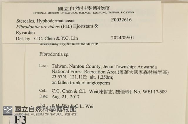 登錄號:F0032616藏品圖，第3張