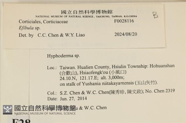 登錄號:F0028116藏品圖，第3張