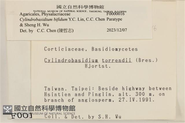 登錄號:F0000016藏品圖，第3張