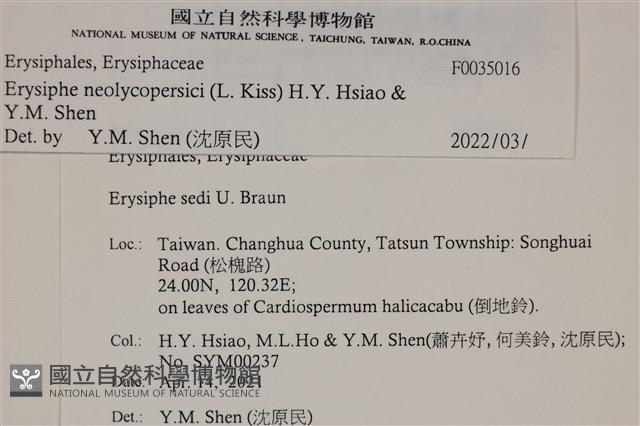 登錄號:F0035016藏品圖，第3張