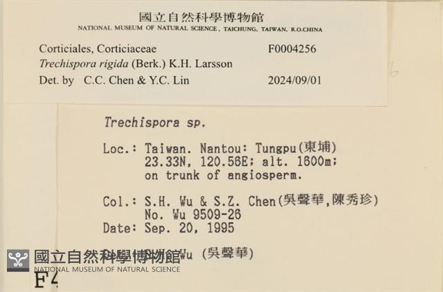 登錄號:F0004256藏品圖，第3張