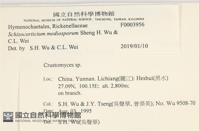 登錄號:F0003956藏品圖，第3張