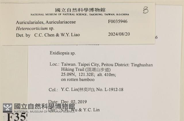 登錄號:F0035946藏品圖，第2張