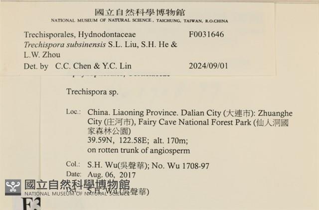 登錄號:F0031646藏品圖，第3張
