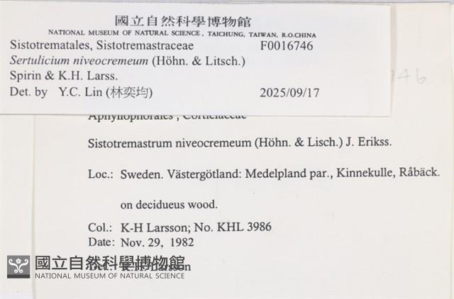 登錄號:F0016746藏品圖，第6張