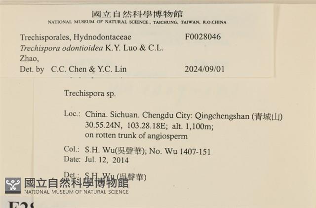 登錄號:F0028046藏品圖，第5張