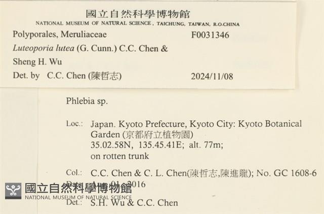 登錄號:F0031346藏品圖，第4張