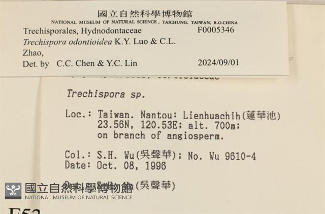 登錄號:F0005346藏品圖，第3張