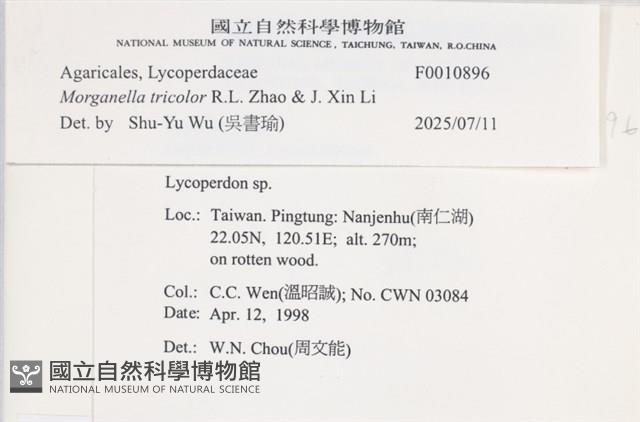 登錄號:F0010896藏品圖，第3張