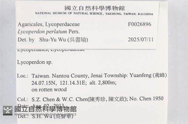 登錄號:F0026896藏品圖，第3張