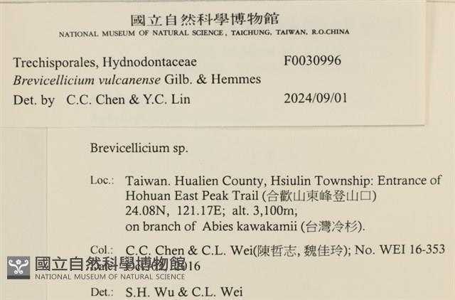 登錄號:F0030996藏品圖，第3張