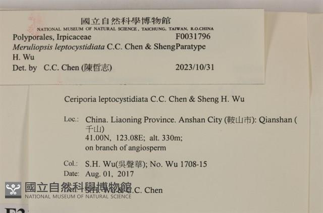 登錄號:F0031796藏品圖，第3張