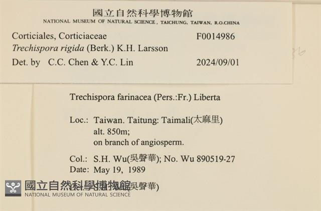 登錄號:F0014986藏品圖，第3張