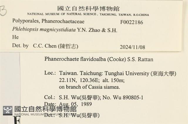 登錄號:F0022186藏品圖，第3張