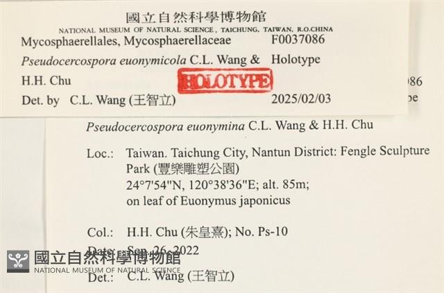 登錄號:F0037086藏品圖，第2張