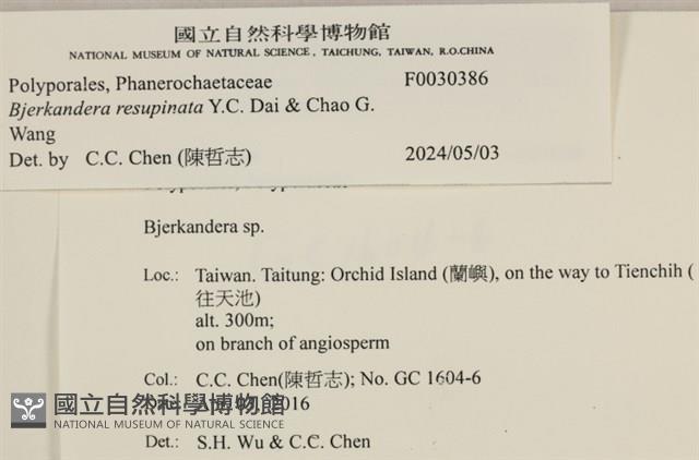 登錄號:F0030386藏品圖，第3張