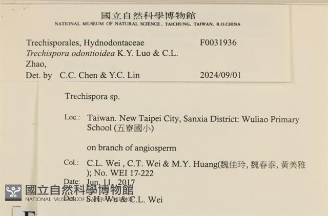 登錄號:F0031936藏品圖，第3張