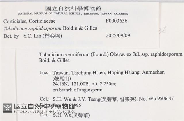 登錄號:F0003636藏品圖，第5張